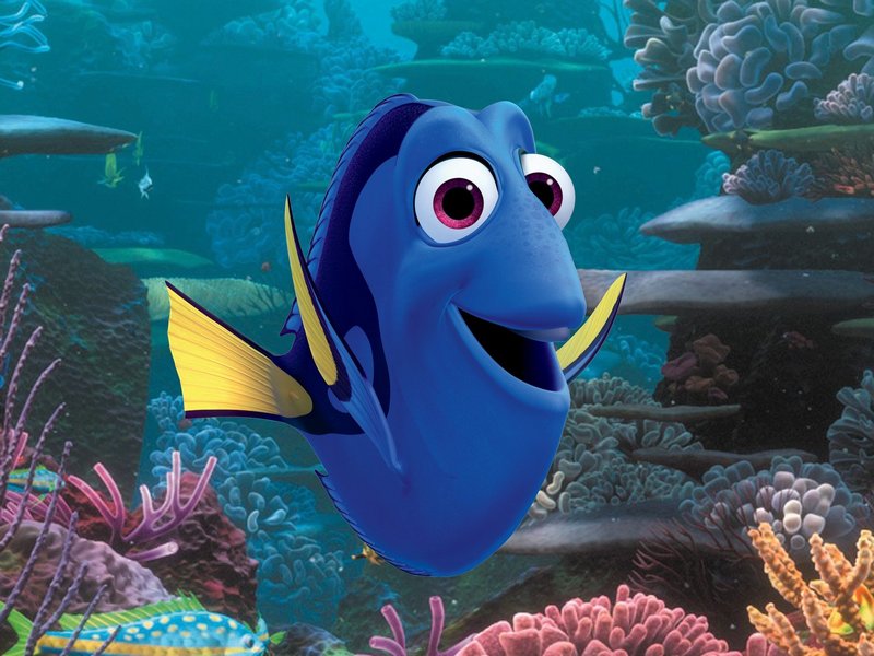 dory just keep doing