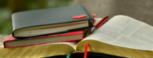 bookmark day